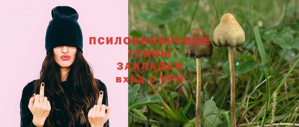 jwh Верхний Тагил