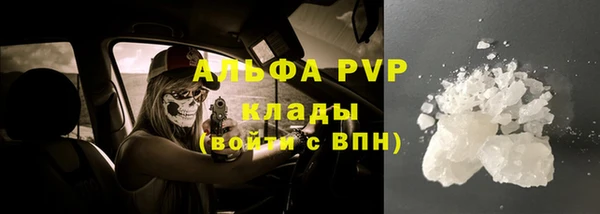 твердый Бородино
