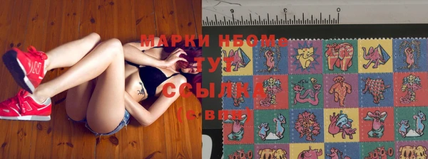 дмт Верея