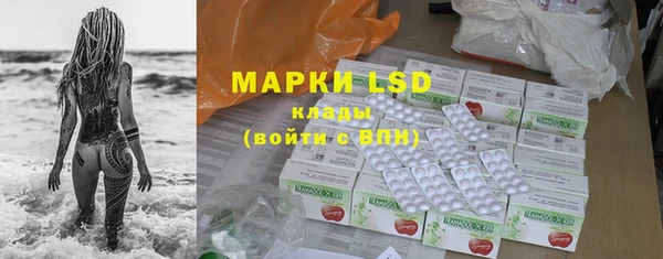 дмт Верея