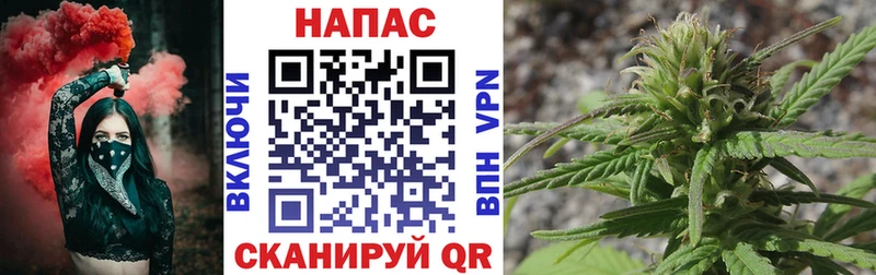 Шишки марихуана марихуана наркошоп KRAKEN ссылка Ворсма